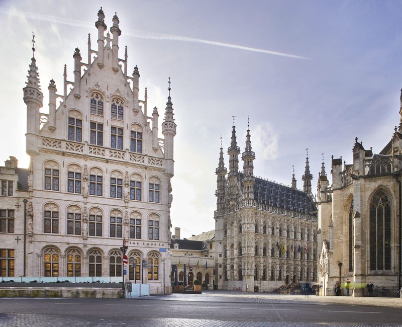 Plaatsbeschrijving Leuven – zicht op de stad